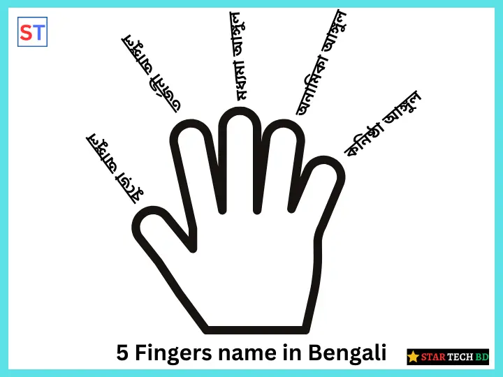 5 Fingers name in Bengali